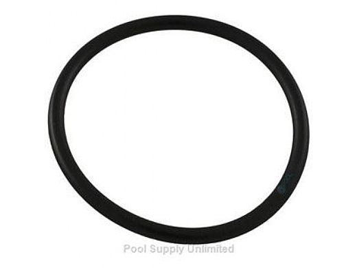 Pentair Diverter Tee O-Ring | R172319