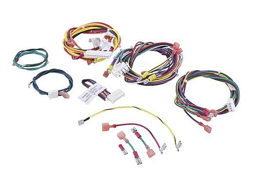 Raypak Wire Harness 207-407 | 010347F