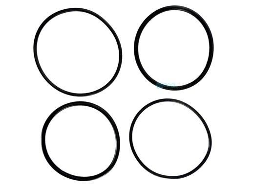 Raypak 2" O-Ring Kit | 006724F