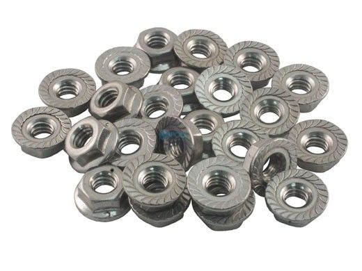 Raypak Flange Nut Kit 1/4"-20 | 008259F