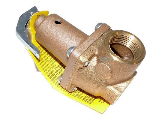 Raypak Pressure Relief Valve 125 PSI | 261-401 & 263-403 | 007224F