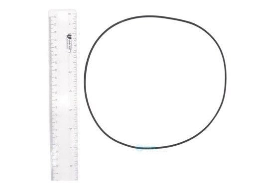 Fluidra O-Ring for Motor Clamp | 7731838026