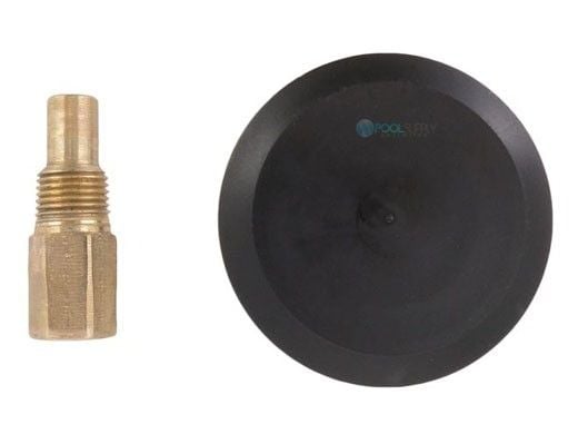 Raypak Rear Drain Plug and Cover | 005264F