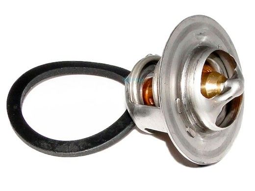 Raypak Unitherm Governor | Capron Header Models | 006719F