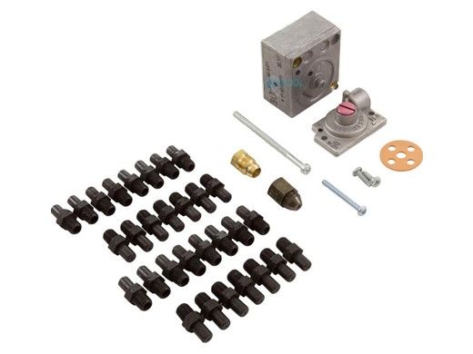 Raypak Millivolt Conversion Kit for 331-405 Natural to Propane | 004692B