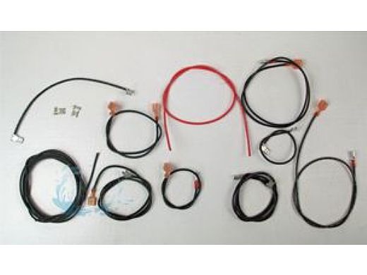 Raypak Wire Harness Millivolt Versa 055A | 004010F
