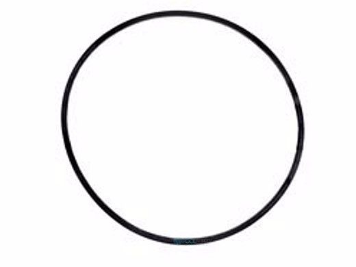 Waterco O-Ring | 00B7031