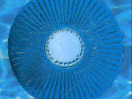 Smartpool Smart Ring Main Drain Cover | DC11