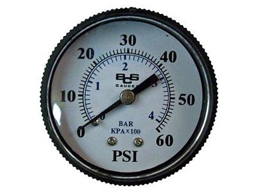 Birch Instruments 2" Pressure Gauge 0-60# Plastic 1/4" NPT Back  Mount