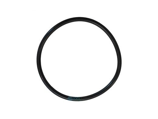 Super-Pro C3 Spacer/Filter Lid/ Bulkhead O-Ring | 8343-60