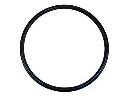 Rainbow Chlorinator Lid O-Ring R172009 | O-283V-9