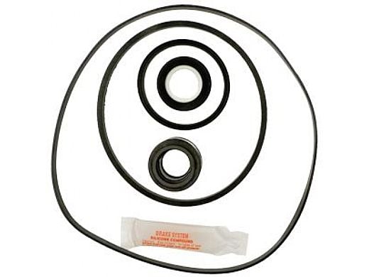 Seal & Gasket Kit for Hayward Max-Flo Pool Pumps | GO-KIT1-9