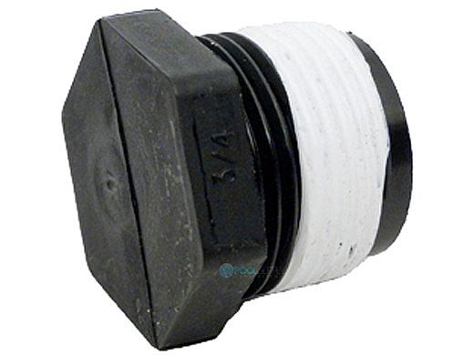 Pentair Pipe Plug 3/4 Inch NPT Connection | WC78-38T
