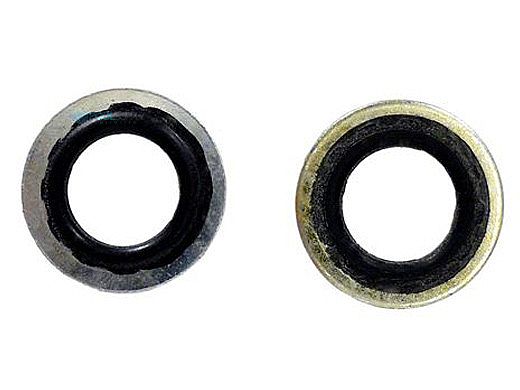 Pentair Stat-O-Seal Washer | Metal | C43-46SS