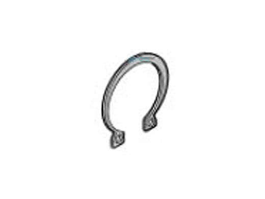 Pentair Retaining Ring | S11207