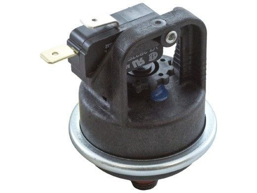 Pentair Water Pressure Switch | 42001-0060S