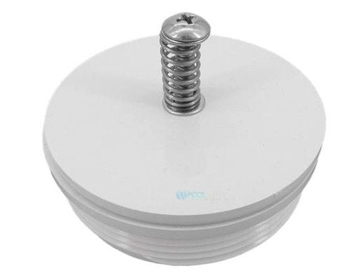 Pentair 2" MPT Skimmer Check Valve | 08655-0017