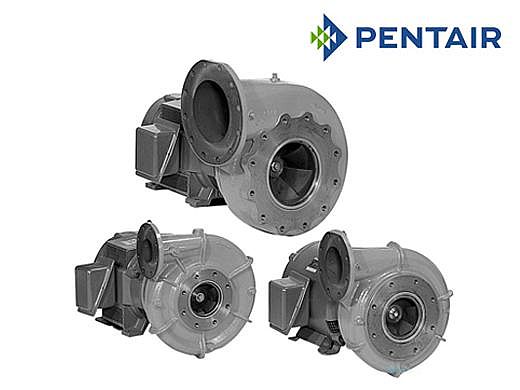 Pentair Berkley B-Series Centrifugal Commercial Pool Pump | 10HP 1800 RPM Flange 3x 4" 3-Phase | B71947S