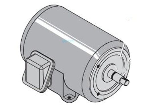 Pentair D Series Motor Keyed | 3HP 1 PhaseH 230V | C218-177