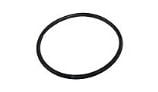 Pentair O-Ring for Index Plate | 35505-1246