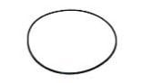 Jandy Backplate O-Ring | R0446300