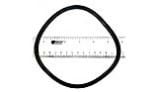 Jandy FHP Strainer Cover O-Ring | R0480200