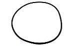 Waterway Plastics O-Ring for Crystal Water Cartridge and D.E. Filter | 805-0000