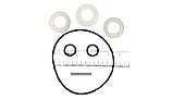 Waterway O-Ring Kit with Pin & Washer | 800-0150B
