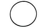 Pentair Whisperflo XF Seal Plate O-Ring | 351446