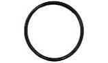 CompuPool CPX Series Union O-Ring | BS231