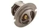 Pentair Thermal Regulator for Heater Water System | 474989