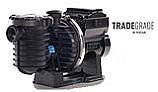 Sta-Rite IntelliPro 3HP Variable Speed and Flow Pump 230V | 013004