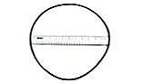 Hayward O-Ring for Filter Head | CXFHR1001