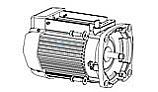 Pentair TEFC Motor W/O Drive | Almond | 353134S