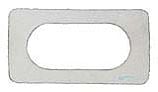 Pentair MasterTemp Electrical System Igniter Gasket | 42001-0066S