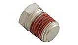 Pentair .25" NPT Hex Head Pipe Plug | U78-941ZPV