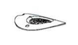 Maytronics Impeller Cover Botia | Black | 99806252