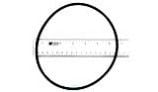 Polaris O-Ring Backplate 60Hz | R0536600