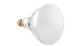 Hayward R40 Reflector Flood Warm White Pool Light Incandescent | 120V 500W | R40FL500/HG 104042
