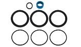 Pentair Bioshield UV Sterilizer Seal Kit | 523031