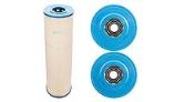 Raypak Cartridge Filter Element RPCFP100- Kit | 018242F