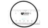 Generic Tailpiece O-Ring | APCO2075