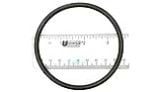 Generic Diffuser O-Ring | APCO2339
