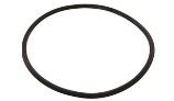 Speck Pumps Casing O-Ring for Pump Model 95 | 2902041220