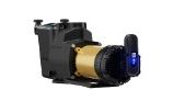Hayward SuperPump VS 620 Variable Speed Pump with OmniX | 2.25HP 230-115V | W3VSP26620