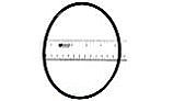 Pentair O-Ring | 51011900