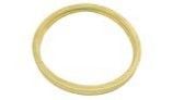 Pentair Kit Lens Gasket SUNBRTII | 79101601Z | 620400Z