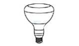 Pentair Floodlamp Medium Base | 100W 12V | 79101800