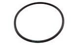 Hayward Strainer Cover O-Ring | SPX3000S