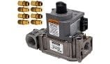 Hayward Liquid Propane to Natural Gas Conversion Kit | FDXLCNK0002